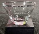 Herbert Hoover Award